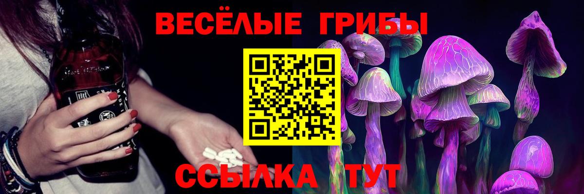 Чапаевск  Галлюциногенные грибы Psilocybe  Вход с VPN 